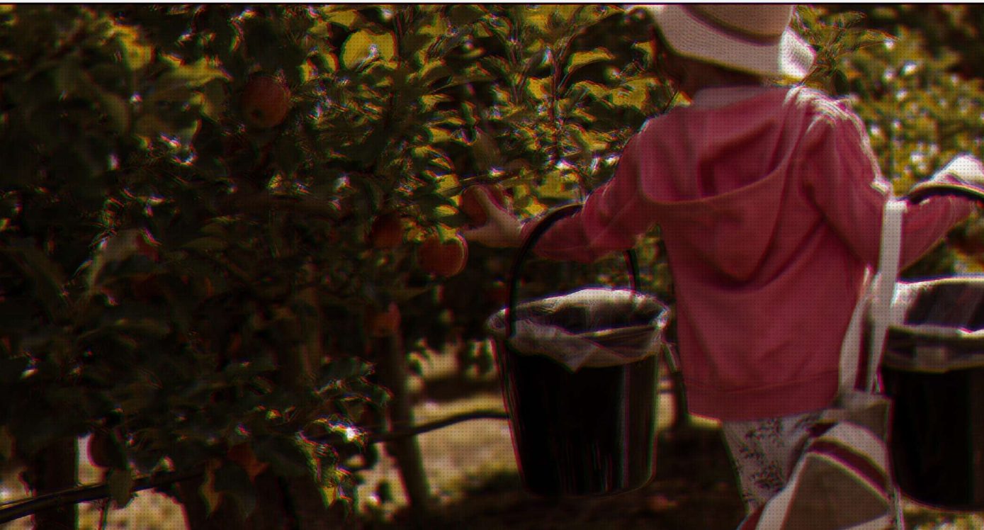 Trabajo agrícola con calzado de PVC